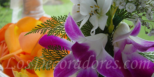 Canasta de ptalos y orqudeas